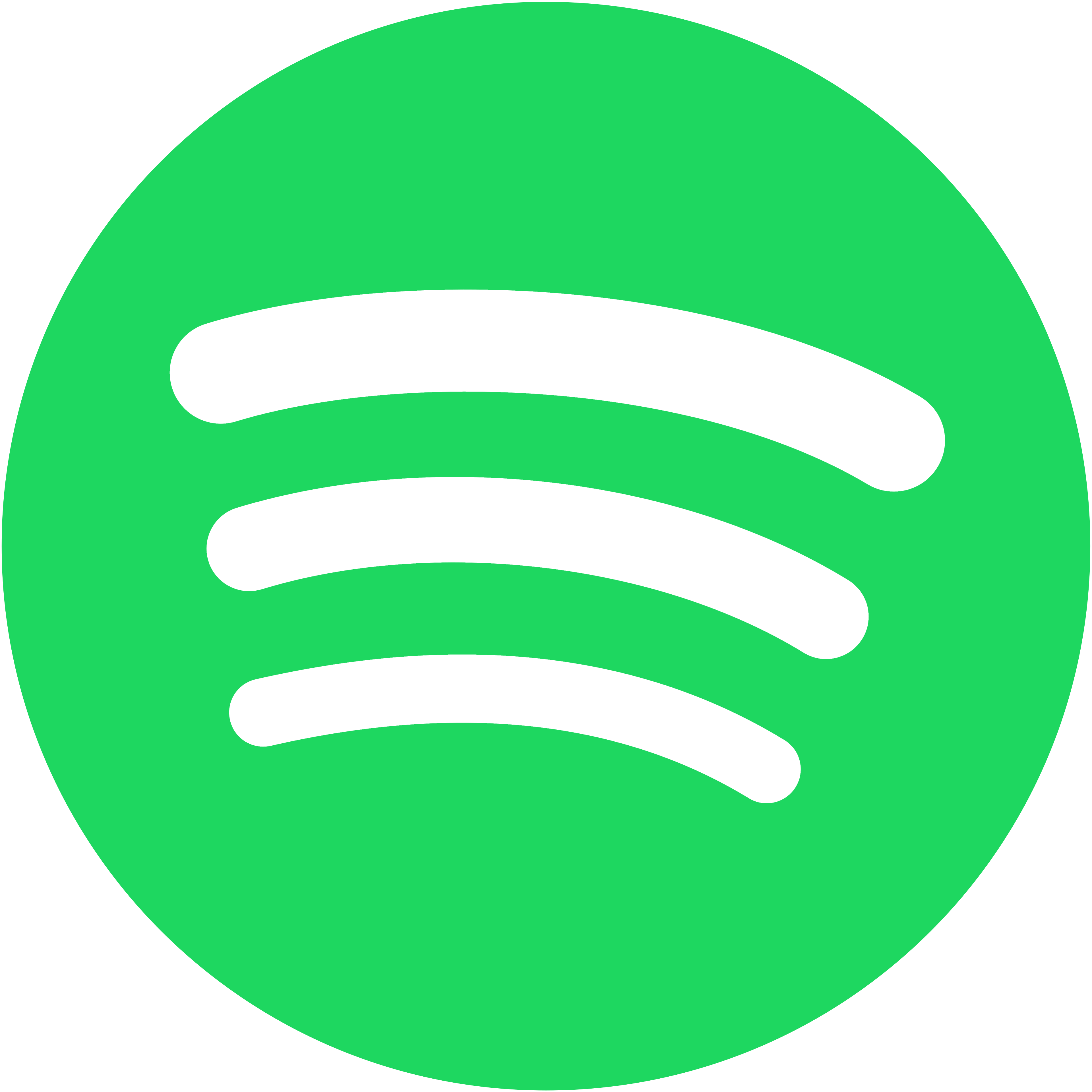 Spotify 12 meses